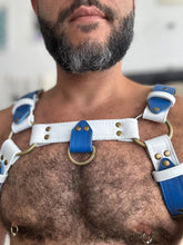 Load image into Gallery viewer, White&amp;Blue classic bulldog leather harness
