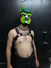 Load image into Gallery viewer, Custom puppy Harness
