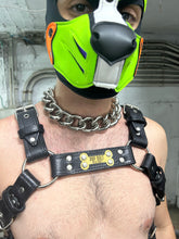 Load image into Gallery viewer, Custom puppy Harness
