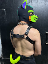 Load image into Gallery viewer, Custom puppy Harness
