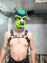 Load image into Gallery viewer, Custom puppy Harness
